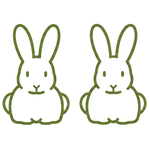 Zwei Kaninchen